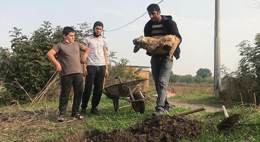 Komşusunun tüfekle öldürdüğü köpeğinin ardından gözyaşı döktü