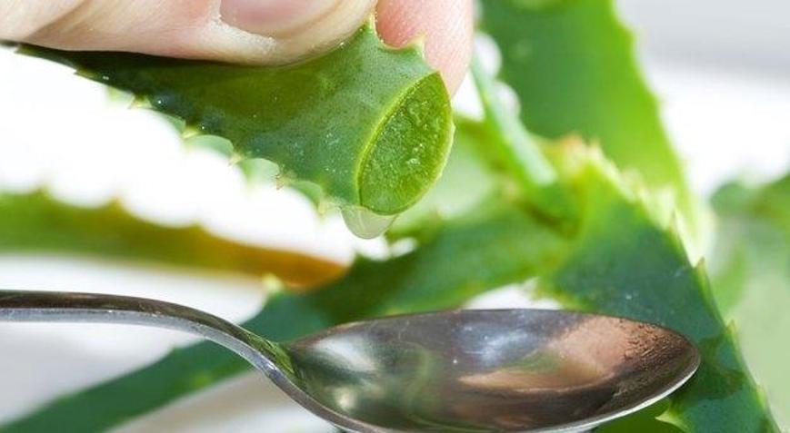 krema aloe vera Aloe Vera - Natural Face and Body Cream main image 1
