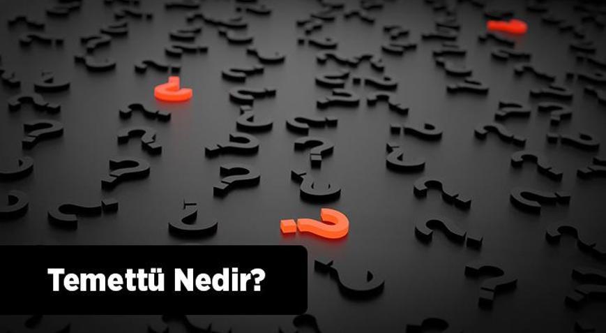 Temettü Nedir, Nasıl Hesaplanır Borsada Bedelsiz Temettü Ne Anlama Gelir