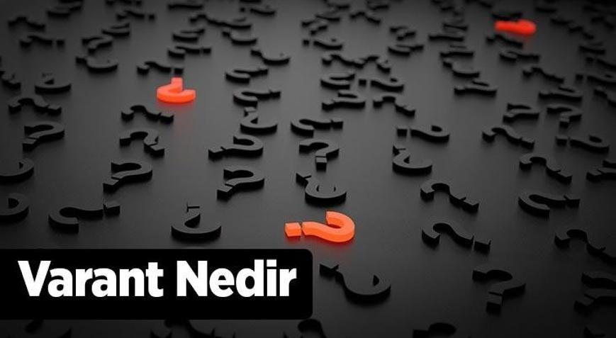 Varant Nedir, Nasıl İşlem Yapılır Borsada Hisse Varantları