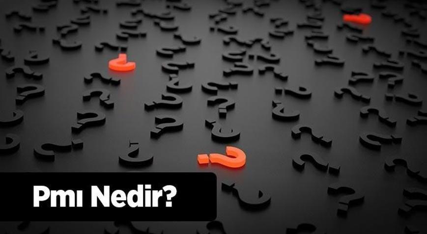 Pmı Nedir Pmı Endeksi Nasıl Hesaplanır