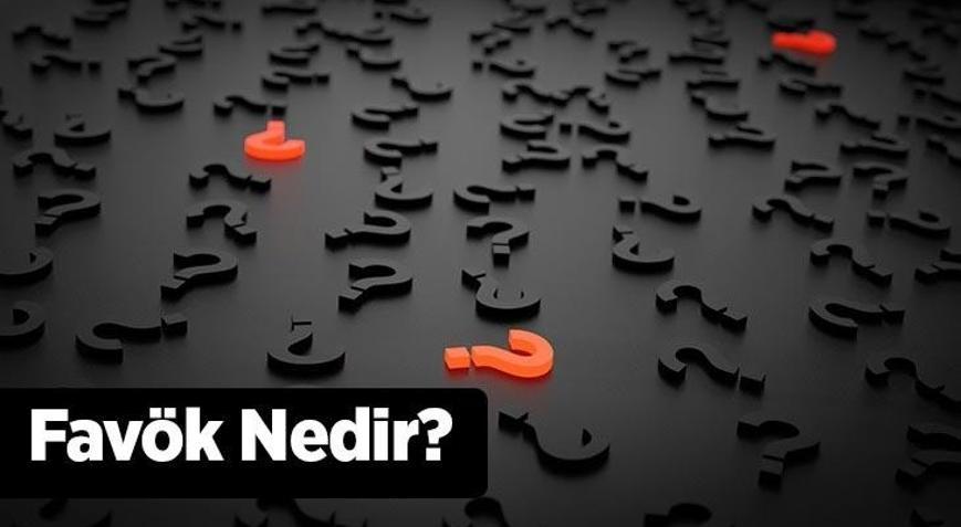 Favök Nedir Favök (Ebitda) Nasıl Hesaplanır