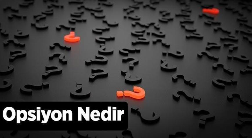 Opsiyon Nedir, Türleri Nelerdir İkili Opsiyon Ne Anlama Gelir
