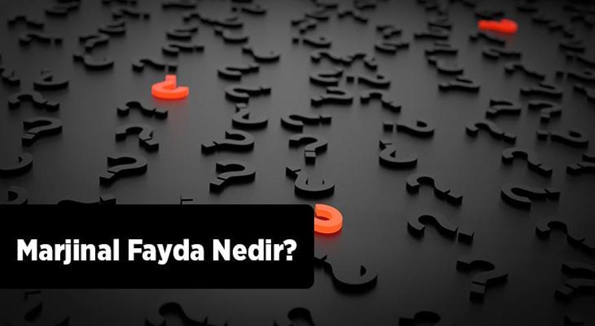 Marjinal Fayda Nedir Azalan Marjinal Fayda Örnekleri Nelerdir