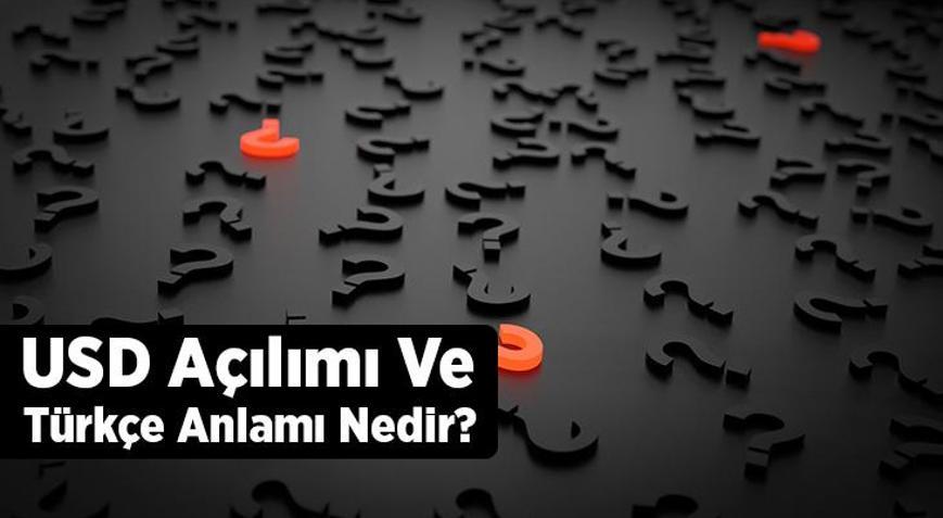USD Açılımı Ve Türkçe Anlamı Nedir USD Hangi Para Birimidir
