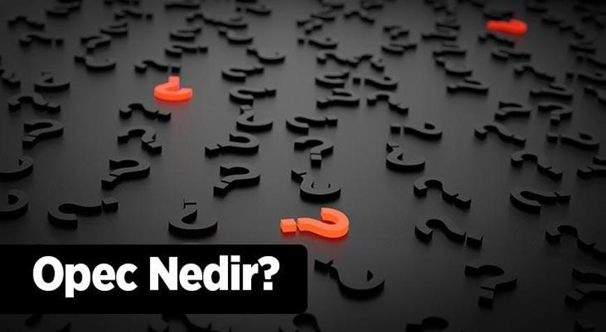 Opec Nedir Opecin Önemi Ve Amaçları Nelerdir