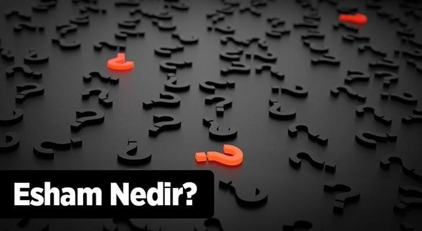 Esham Nedir Esham Modeli Ve Esham Sistemi Ne Demektir