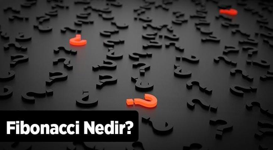 Fibonacci Nedir Borsada Ve Forexte Fibonacci Nasıl Kullanılır