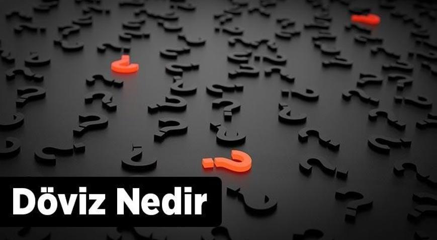 Döviz Nedir Ve Nasıl Belirlenir Döviz Kuru Çeşitleri Nelerdir