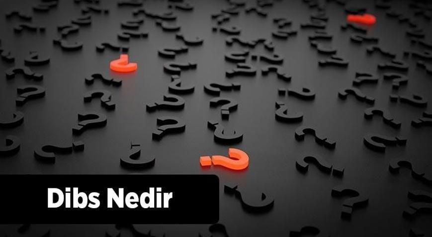 Dibs Nedir, Ne İşe Yarar Uzun Vadeli Dibs Nasıl Olur