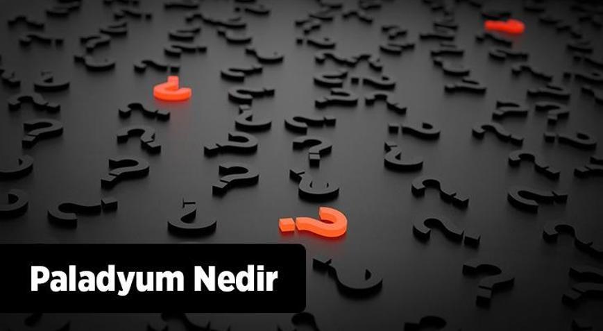 Paladyum Nedir, Nasıl Alınır Paladyum Nerelerde Kullanılır