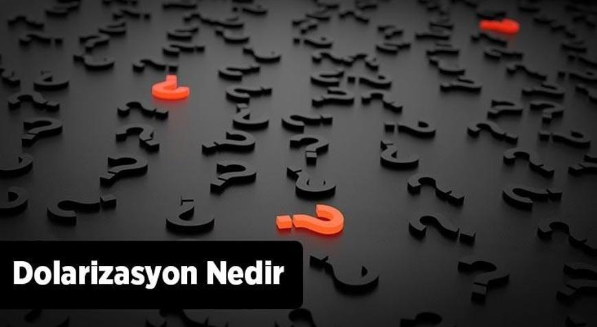 Dolarizasyon Nedir, Çeşitleri Nelerdir Dolarizasyon Nasıl Ölçülür