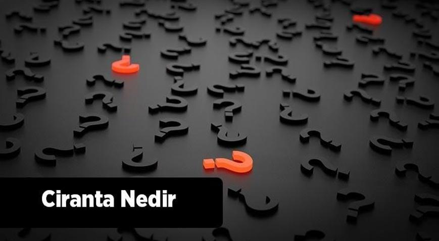 Ciranta Nedir Muhasebede Ciranta Kelimesinin Anlamı