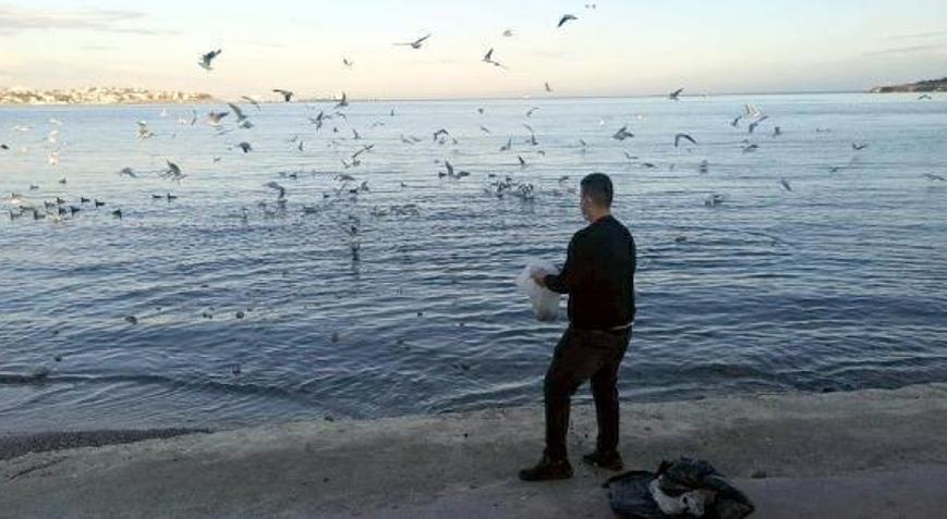 Lokantadan arta kalan ekmeklerle martıları besledi