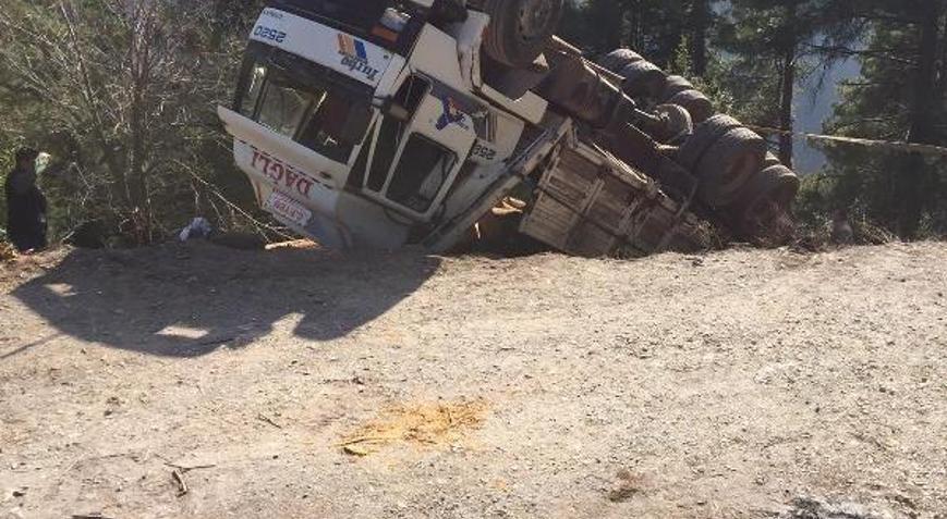 Tomruk çeken kamyon şarampole yuvarladı