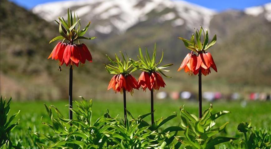 İlk cemre ne zaman, nereye düşecek İşte 2021 birinci, ikinci ve üçüncü cemre tarihleri...