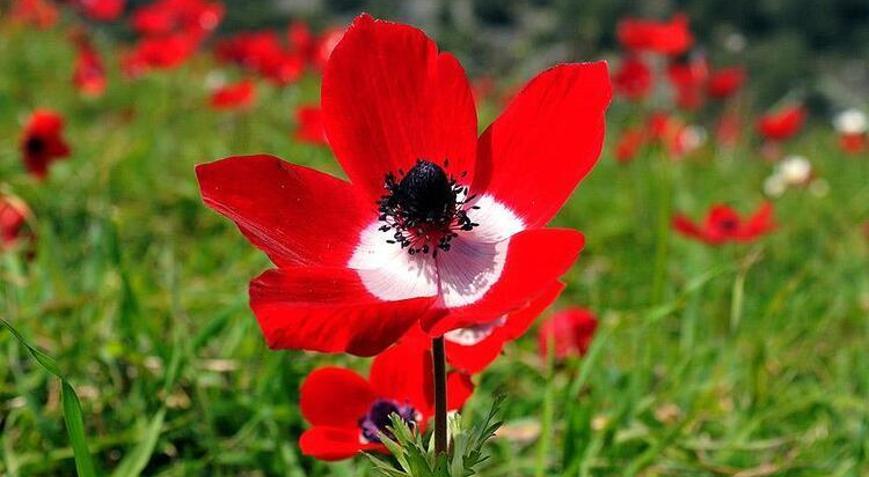 Cemre ne zaman düşecek 2021 cemre tarihleri...