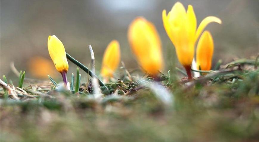 İlk cemre ne zaman, nereye düşecek Cemre tarihleri neler
