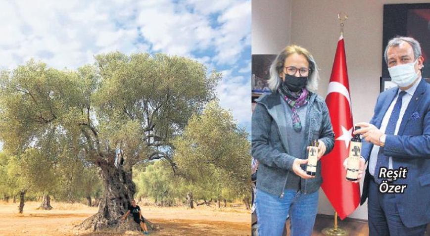 3 bin 200 yaşında coğrafi işaret aldı