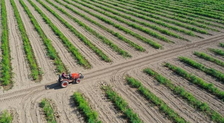 Tarım ÜFE ocak ayında arttı