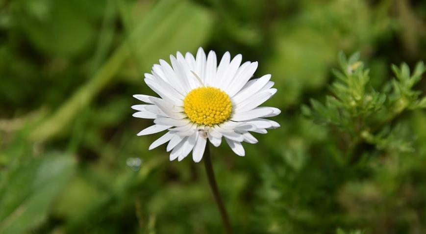 Cemre düşmesi nedir, ne demek Cemre ne zaman düşer İşte 2021 tarihleri