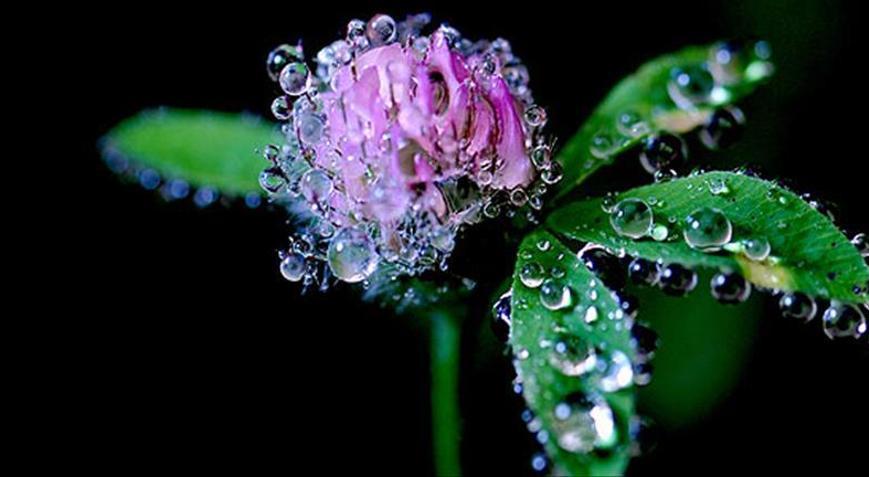 3. cemre ne zaman düşecek 2021 Cemre suya düştü mü, toprağa cemre düştü mü