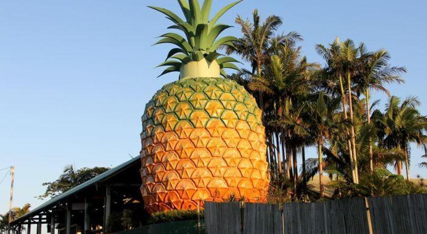 Dünyanın En Komik Yapılarından Biri: The Big Pineapple