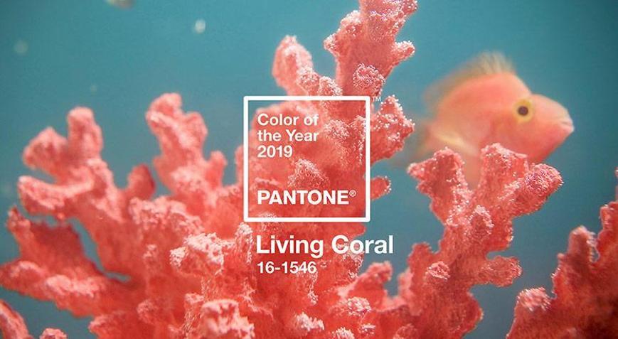 2019 Yılının Pantone Rengi Belli Oldu
