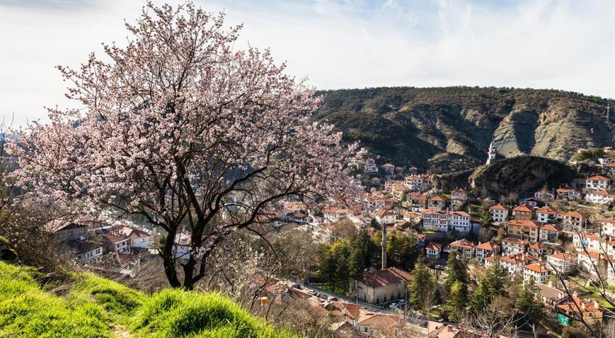 Boluya Taşınmak İsteyenlerin Bilmesi Gerekenler