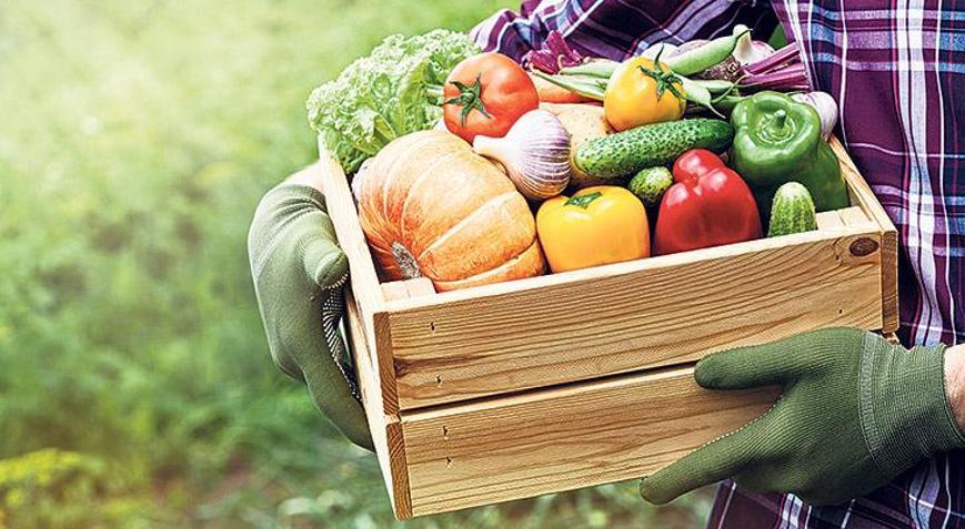 75 bin çiftçi 213 organik ürün