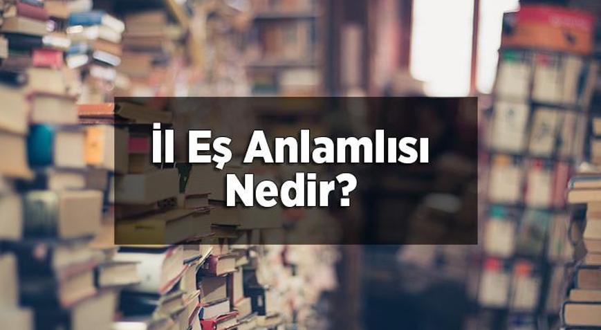 I L VE IL E NEDIR visual data 7