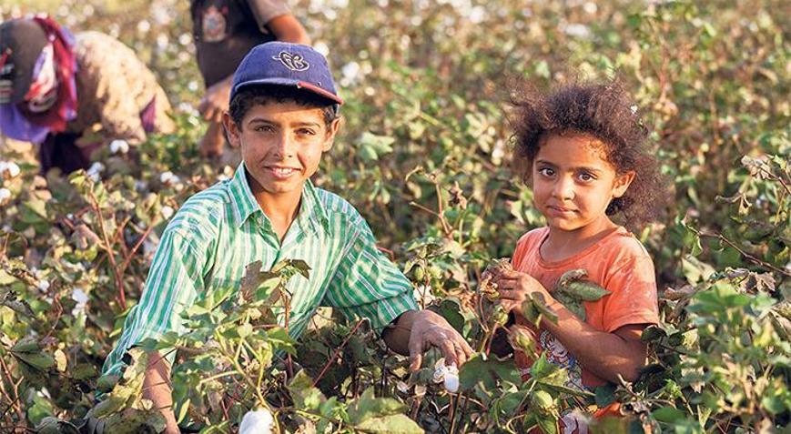 Ayşe’ler evlendirildi, Ahmet’ler çırak oldu