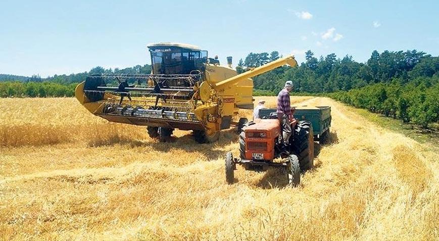 Çiftçiye enflasyon yerine dünya fiyatı