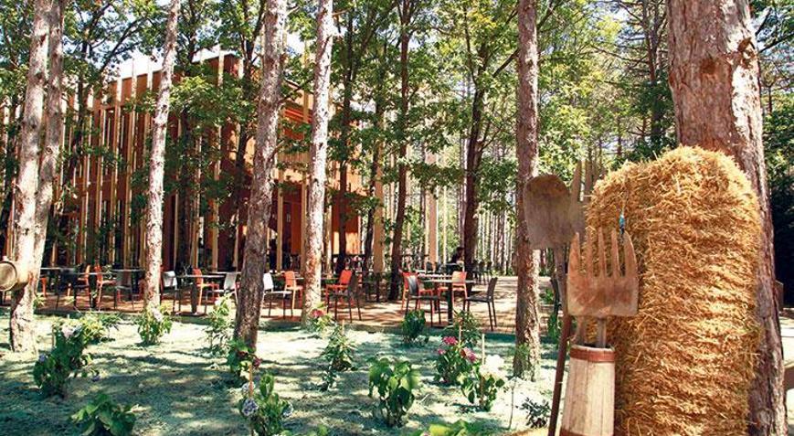 İğneada’da lezzet ormanı