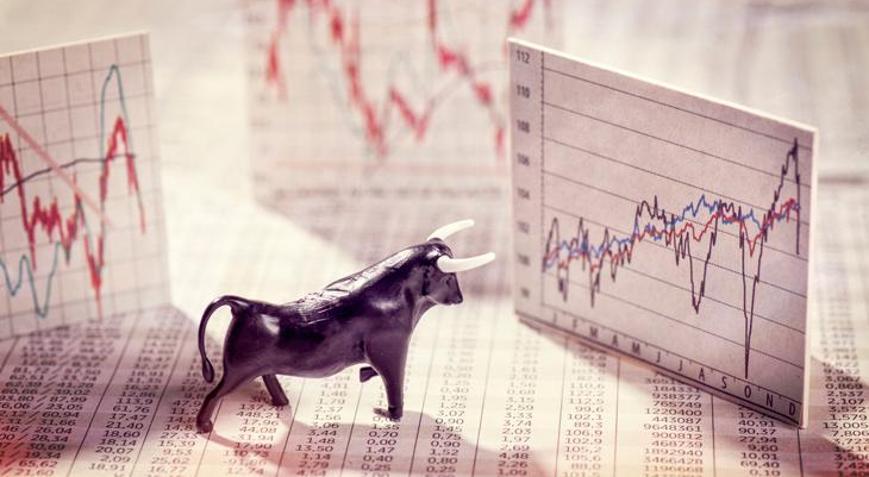 ‘Boğa ve ayı piyasası’ denilince tam olarak ne anlamalıyız