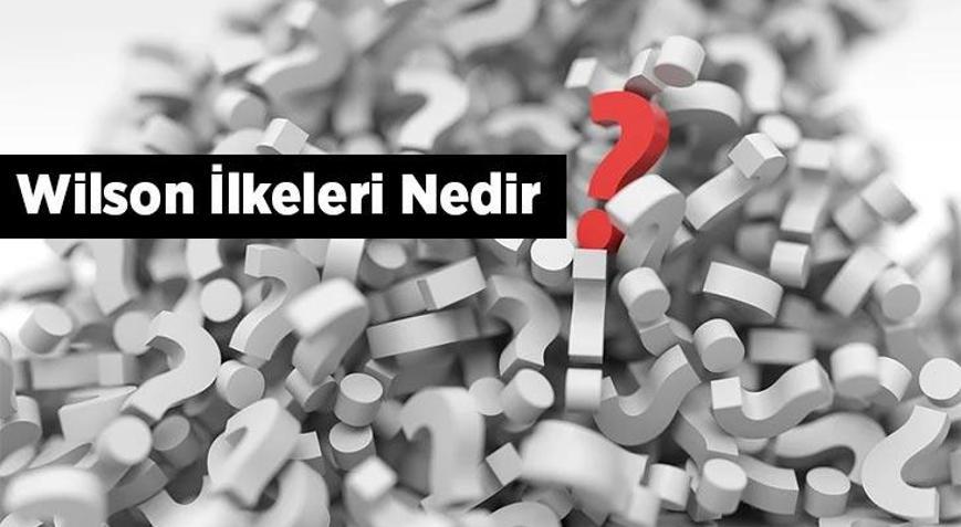Wilson İlkeleri Nedir Kısaca Wilson İlkelerinin Maddeleri