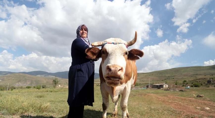 Köyünde hem kanserle savaşını kazandı hem de üretici oldu