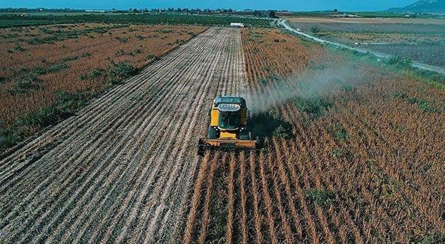 Tarım ÜFE mayısta azaldı