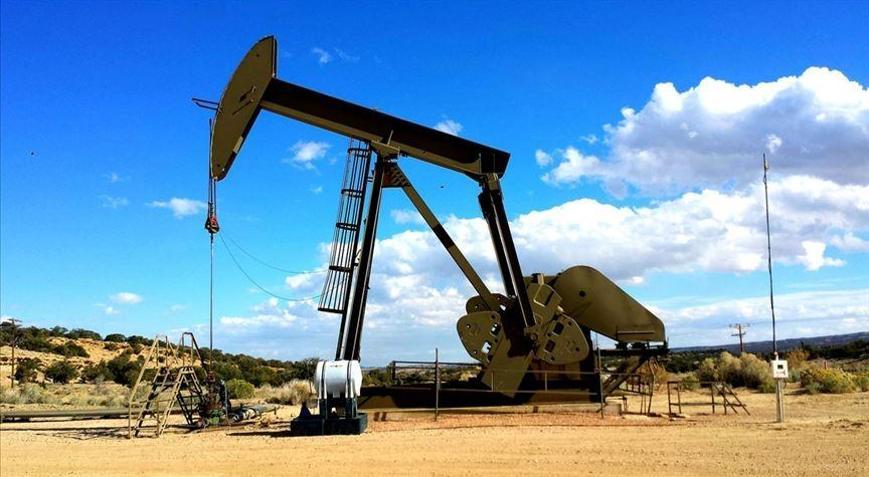 Petrol ithalatı arttı
