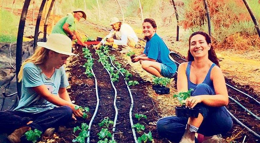 Ekolojik farkındalık için doğayla güçlen