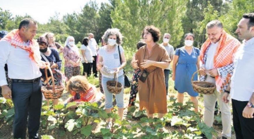 Kuraklık kapımızda