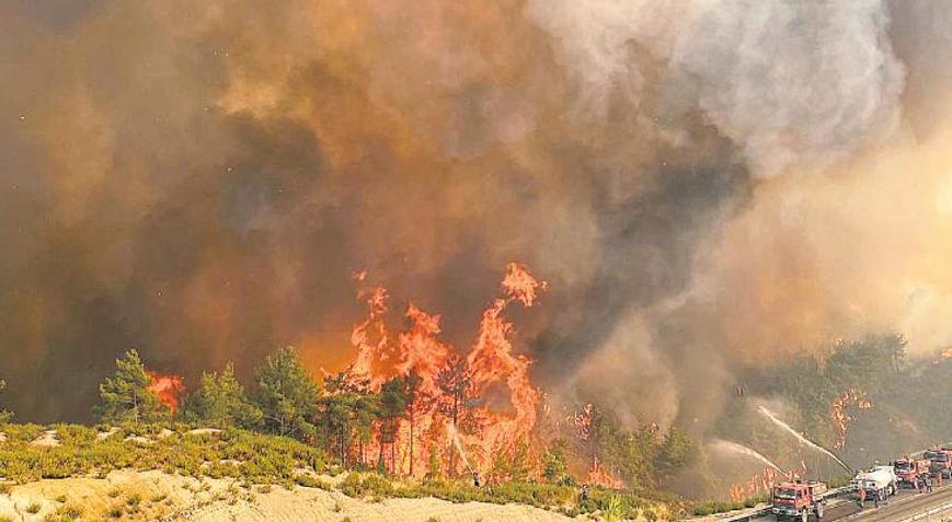 Serviler dikilse felaket olmazdı