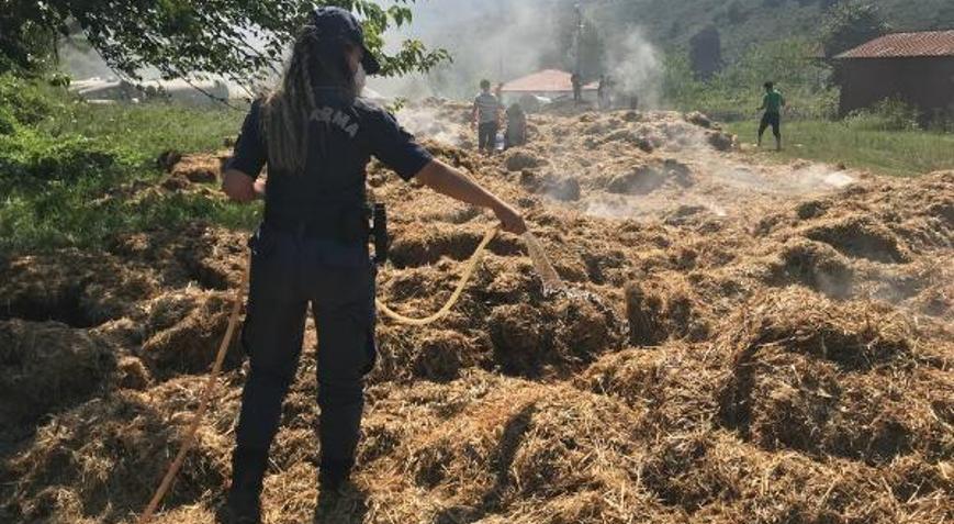 Kamyonun kasasındaki samanlar yandı