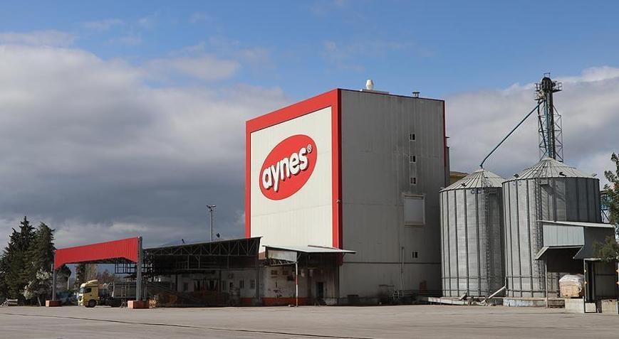 TMSF, Aynes Gıdayı satışa çıkardı