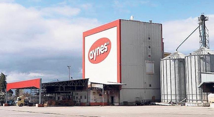 TMSF, Aynes’i satışa çıkardı