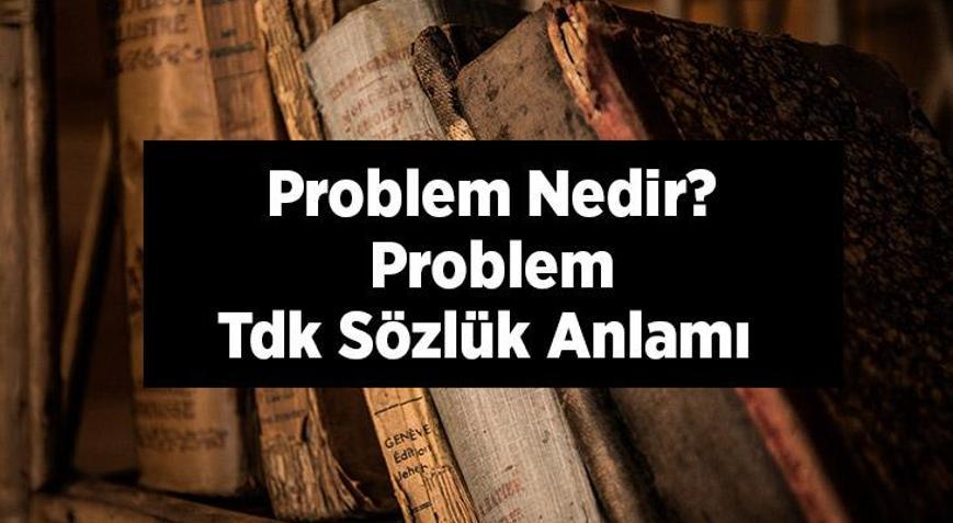 Problem Nedir Problem Tdk Sözlük Anlamı Ne Demek