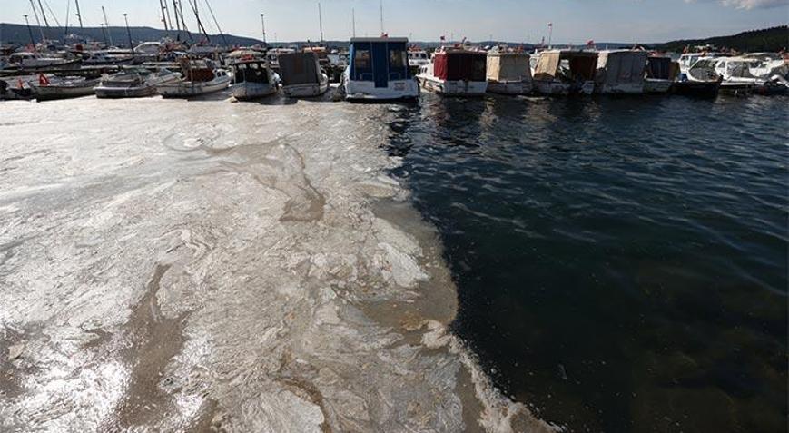 ‘Akdeniz gittikçe kahverengileşiyor’