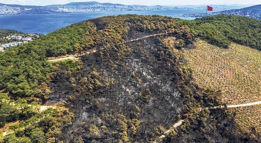 Heybeliada yangınında ihmal iddiası ‘Ada 2 saatte yanar’