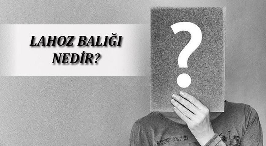 Lahoz Balığı (Grida) Nedir? Nerelerde Yaşar Ve Kısaca Özellikleri ...