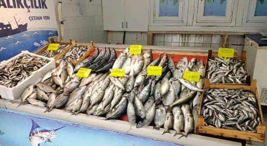 Balıkçıların yüzünü lüfer ve istavrit güldürdü